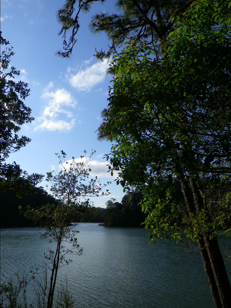 Lake Area45
